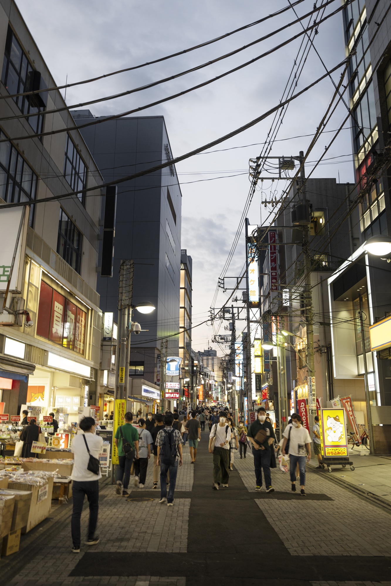 苔むした日本庭園の小川のそばに立つ木造の東屋、早春の雨の日